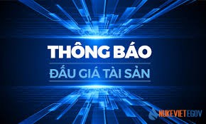 thongbaodaugia1